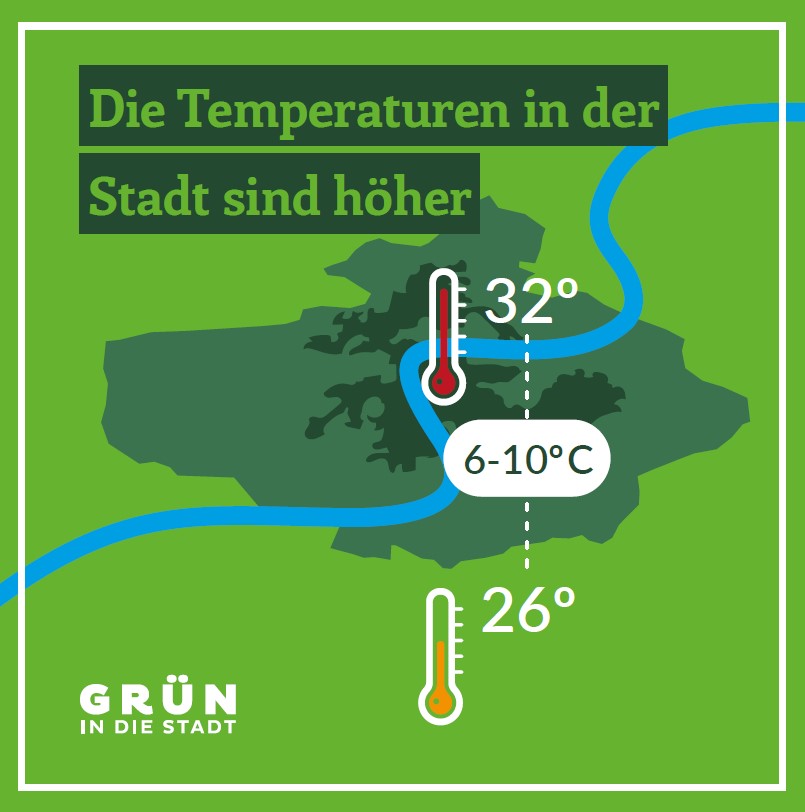 Städtische Grünanlagen wie Parks, Grünflächen, Straßen- und Parkbäume, begrünte (Solar-) Dächer und Fassadengrün leisten einen wesentlichen Beitrag dazu, die Folgen des Klimawandels abzumildern. 